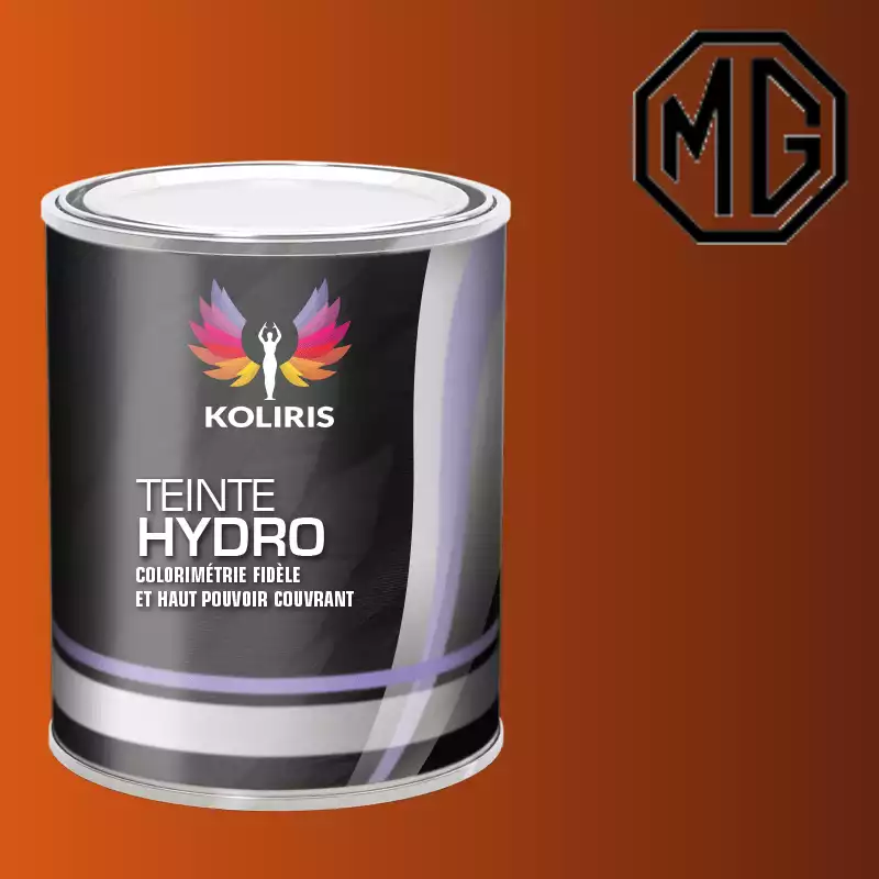 Peinture voiture hydro Mg