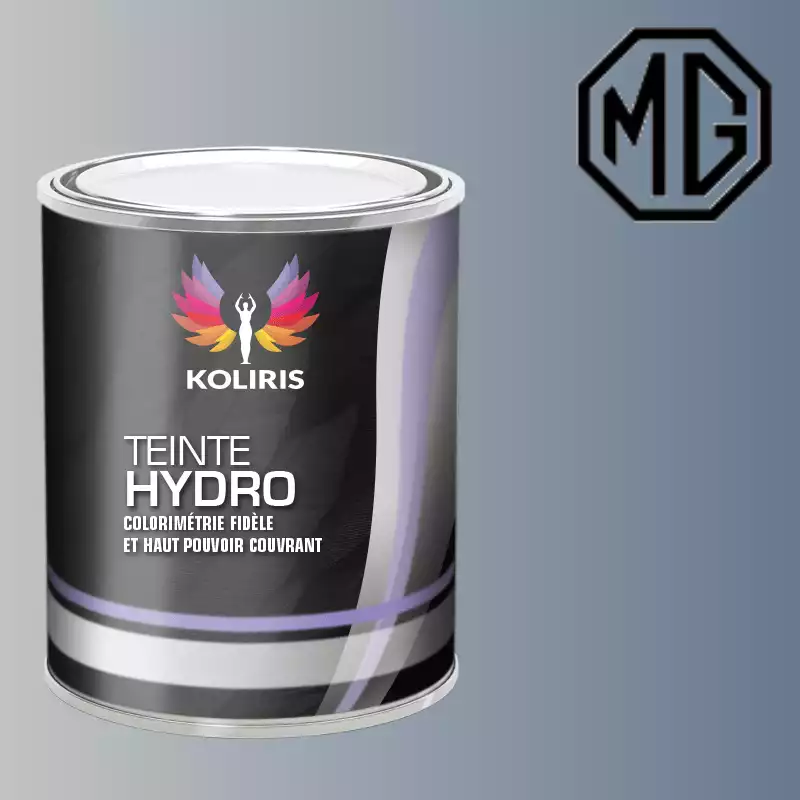 Peinture voiture hydro Mg