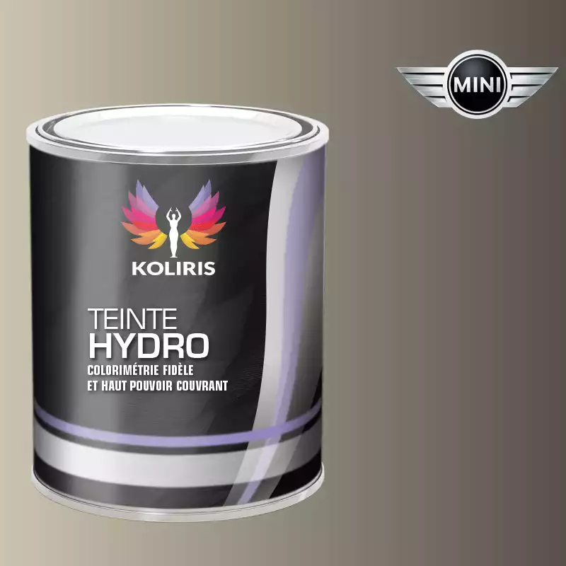 Peinture voiture hydro Mini