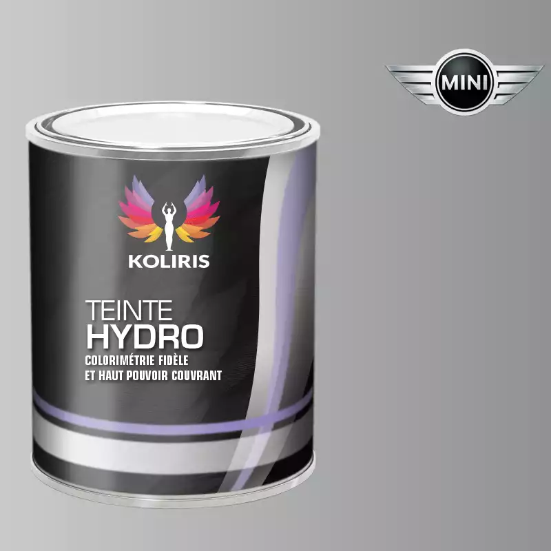 Peinture voiture hydro Mini