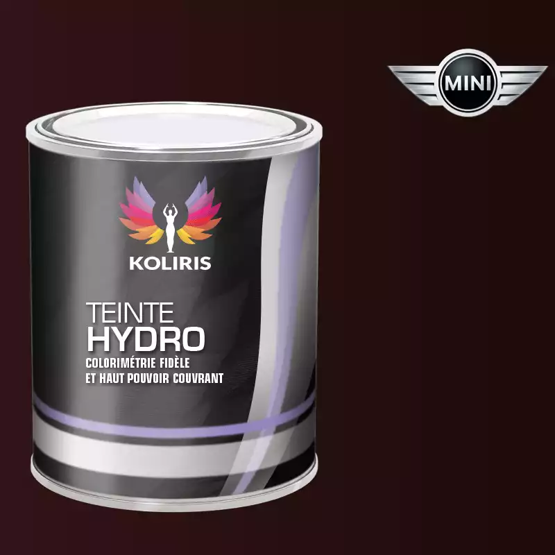 Peinture voiture hydro Mini