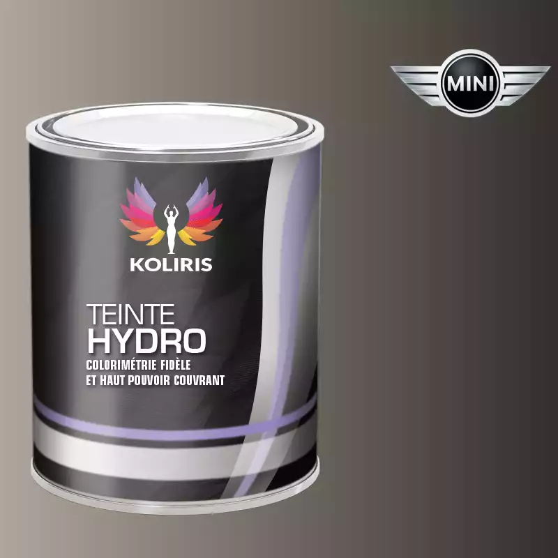 Peinture voiture hydro Mini