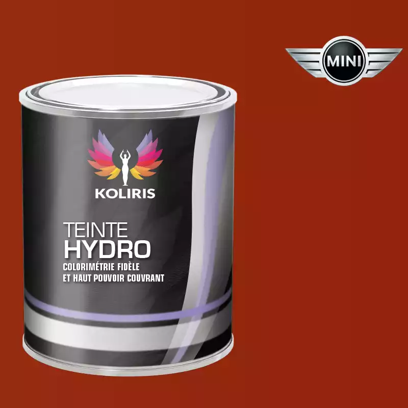 Peinture voiture hydro Mini