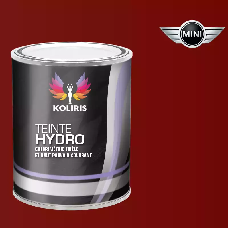 Peinture voiture hydro Mini