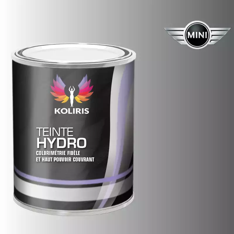 Peinture voiture hydro Mini