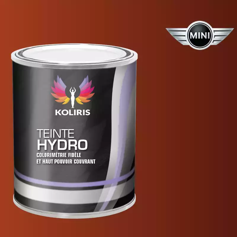 Peinture voiture hydro Mini