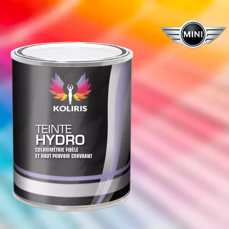 Peinture voiture hydro Mini