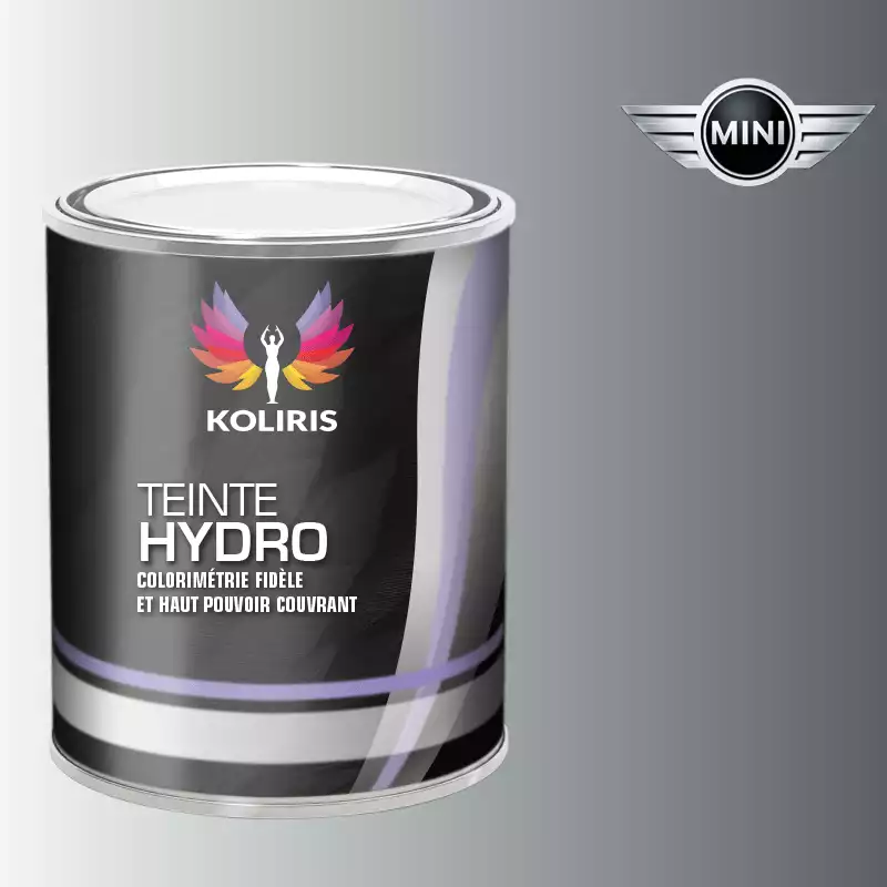 Peinture voiture hydro Mini