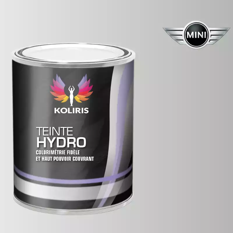 Peinture voiture hydro Mini