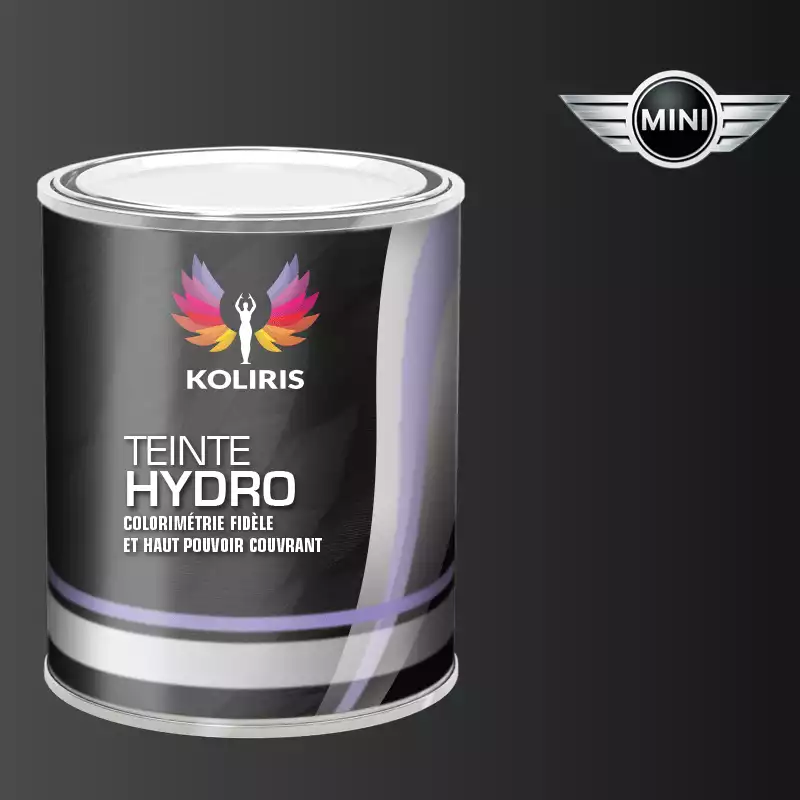 Peinture voiture hydro Mini