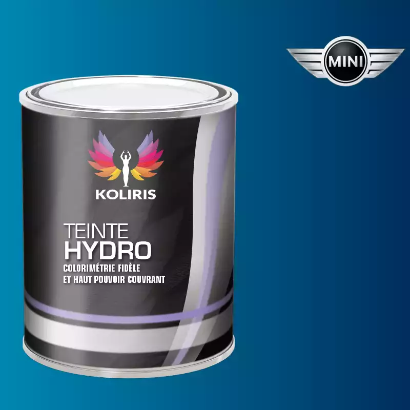 Peinture voiture hydro Mini