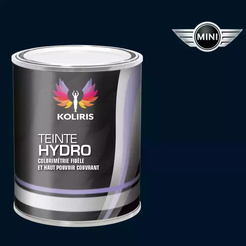 Peinture voiture hydro Mini