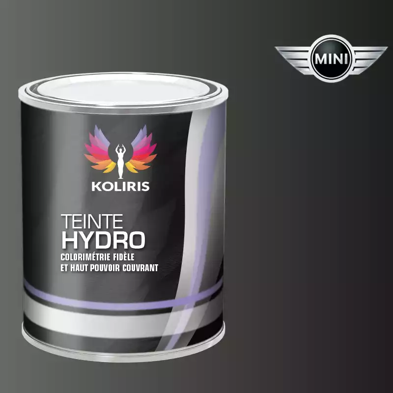 Peinture voiture hydro Mini