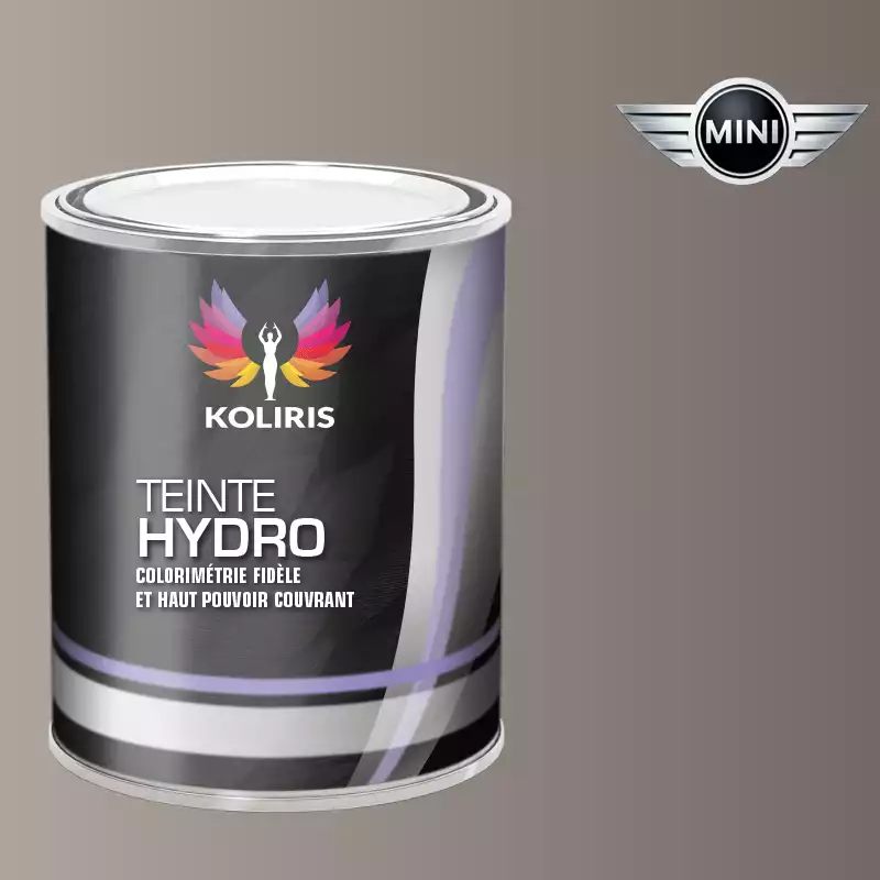 Peinture voiture hydro Mini