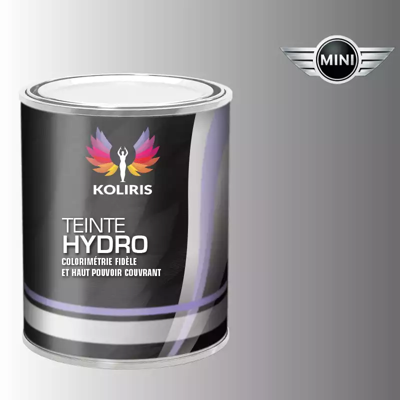 Peinture voiture hydro Mini