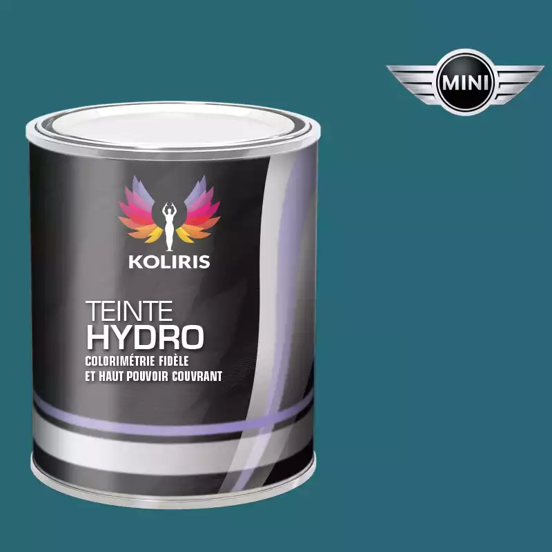 Peinture voiture hydro Mini