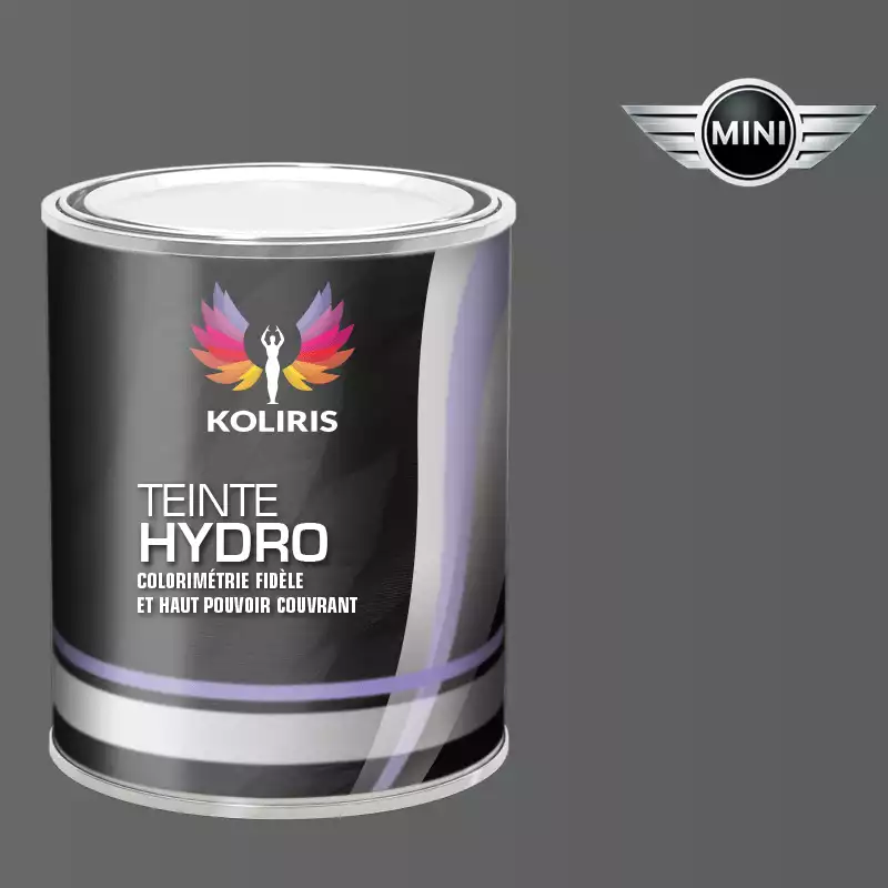 Peinture voiture hydro Mini