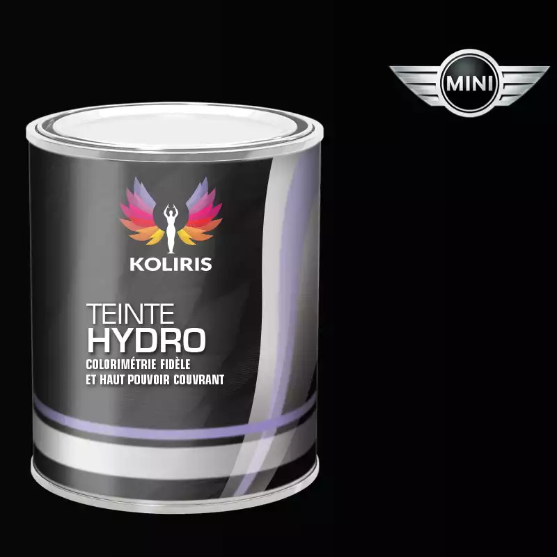 Peinture voiture hydro Mini