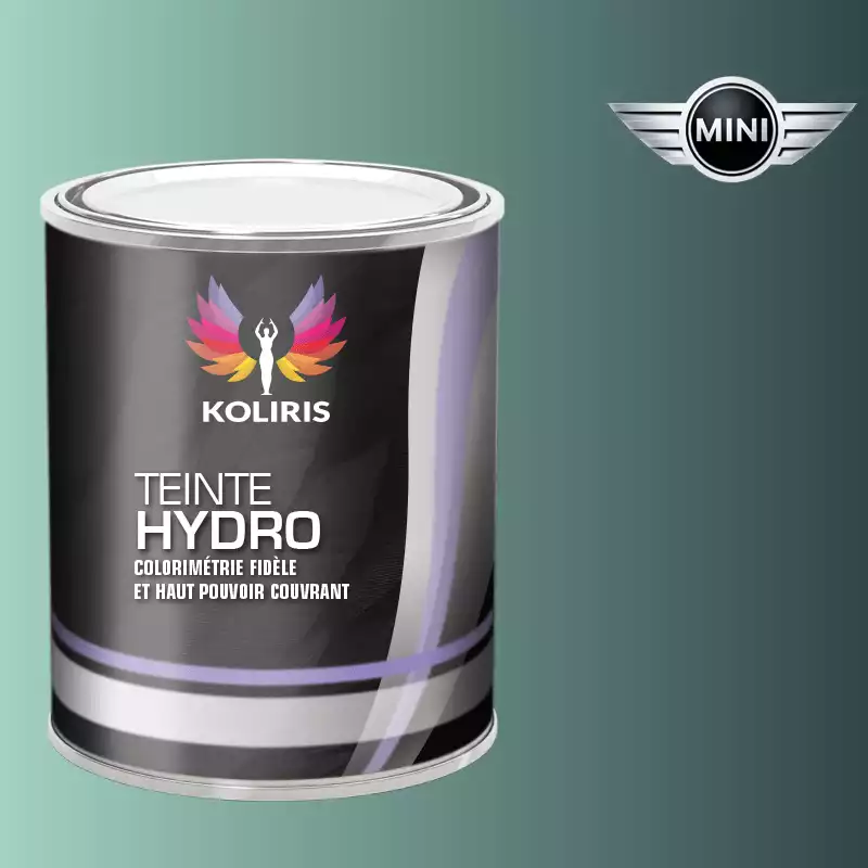 Peinture voiture hydro Mini