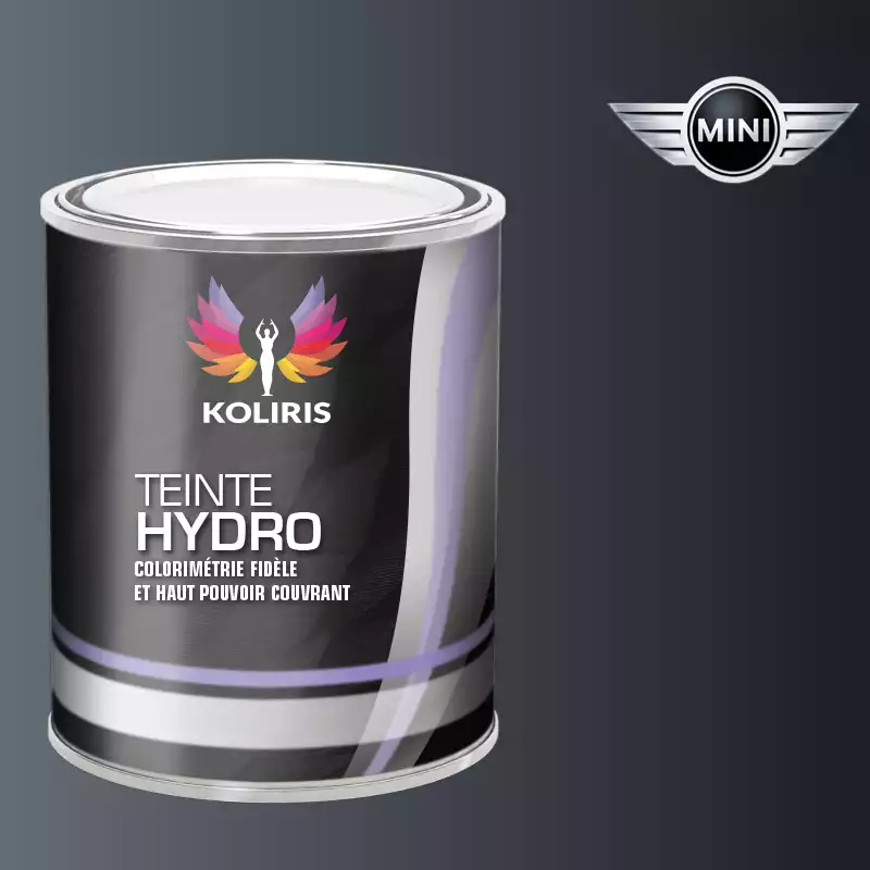 Peinture voiture hydro Mini