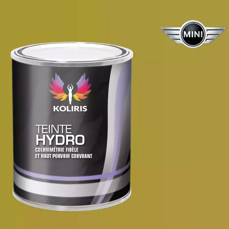 Peinture voiture hydro Mini