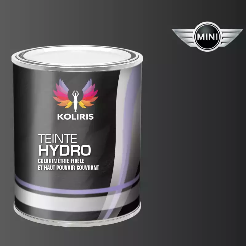 Peinture voiture hydro Mini