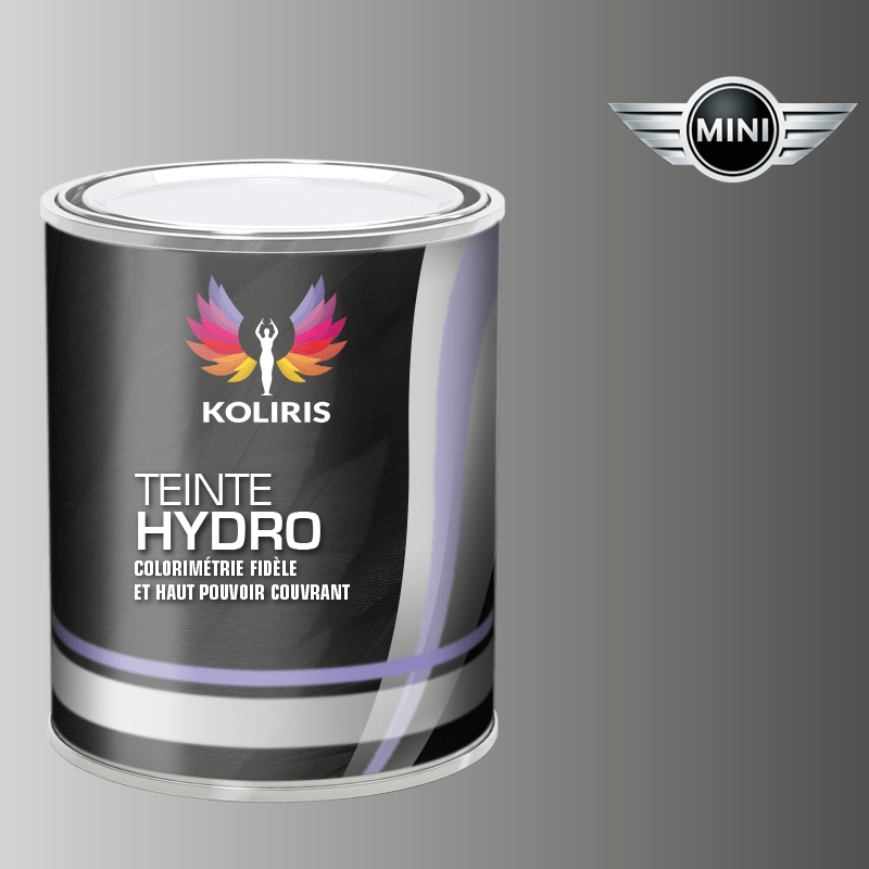 Peinture voiture hydro Mini