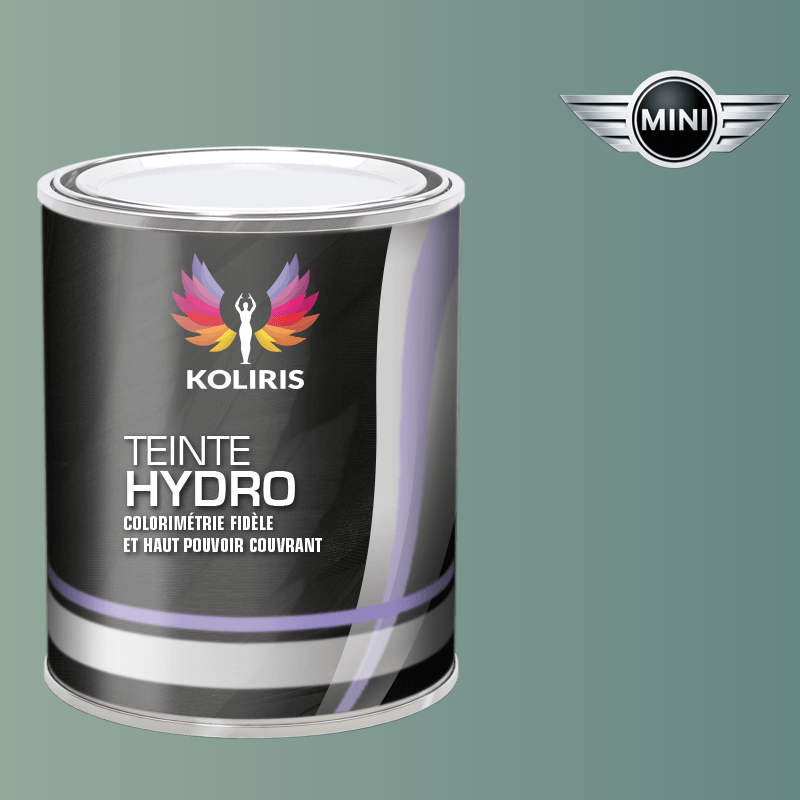 Peinture voiture hydro Mini