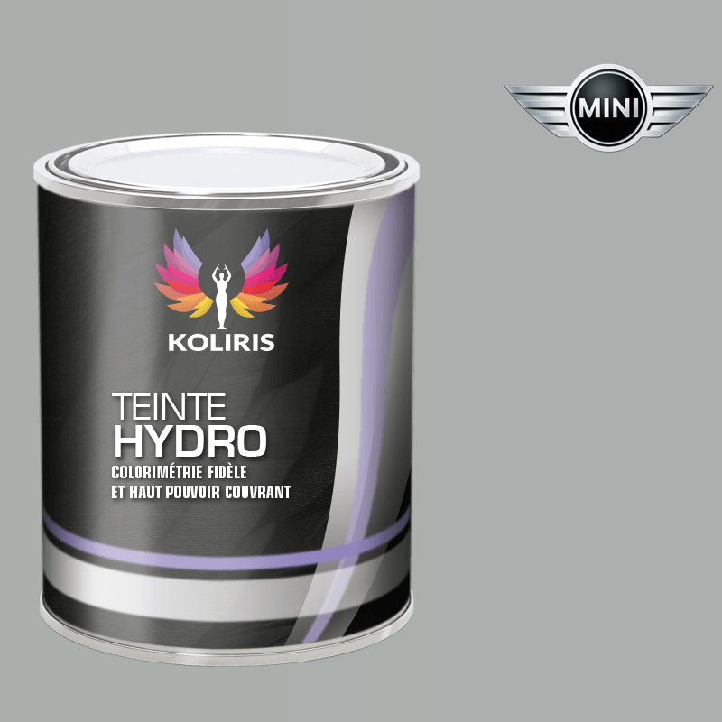 Peinture voiture hydro Mini