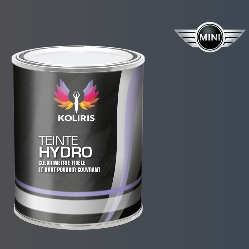 Peinture voiture hydro Mini