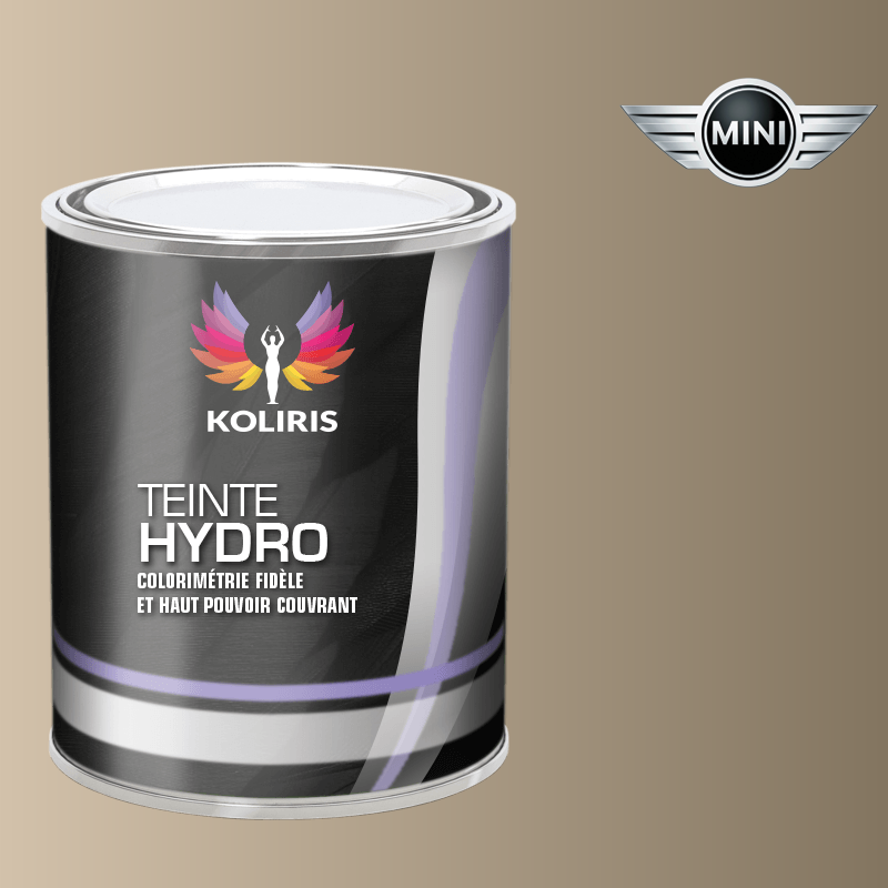 Peinture voiture hydro Mini