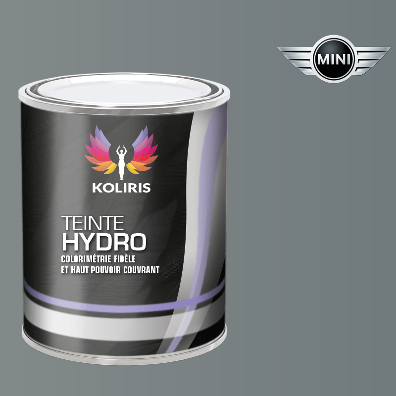 Peinture voiture hydro Mini