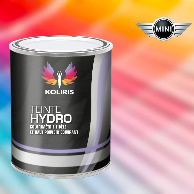 Peinture voiture hydro Mini