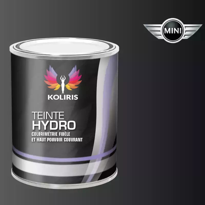 Peinture voiture hydro Mini