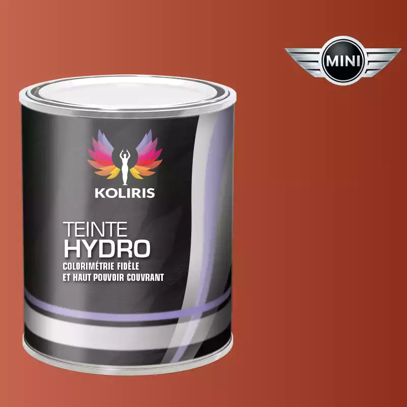 Peinture voiture hydro Mini