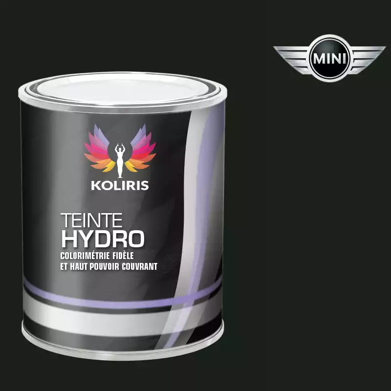 Peinture voiture hydro Mini