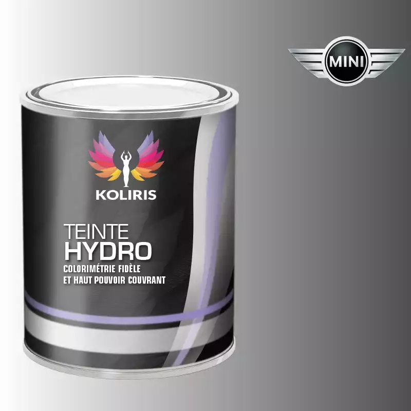 Peinture voiture hydro Mini