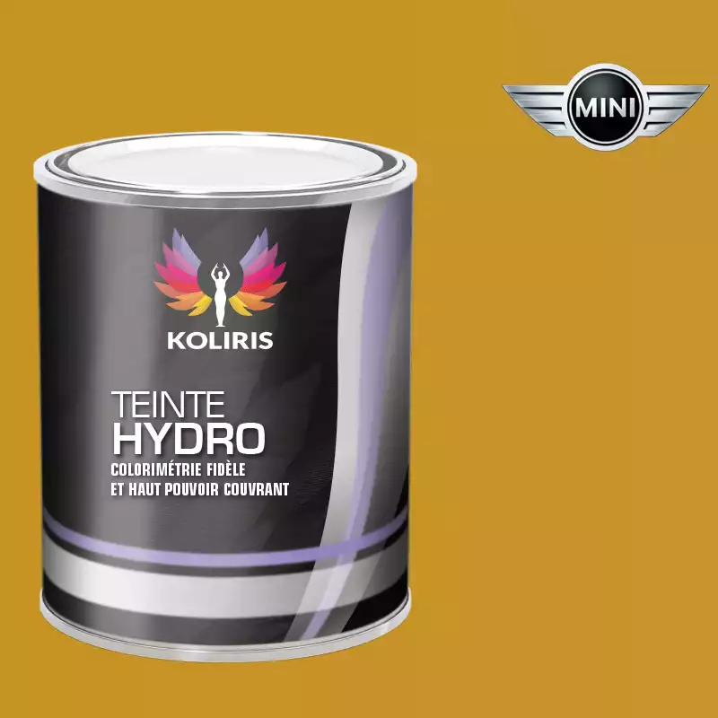 Peinture voiture hydro Mini