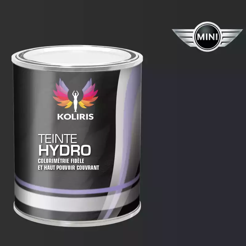 Peinture voiture hydro Mini