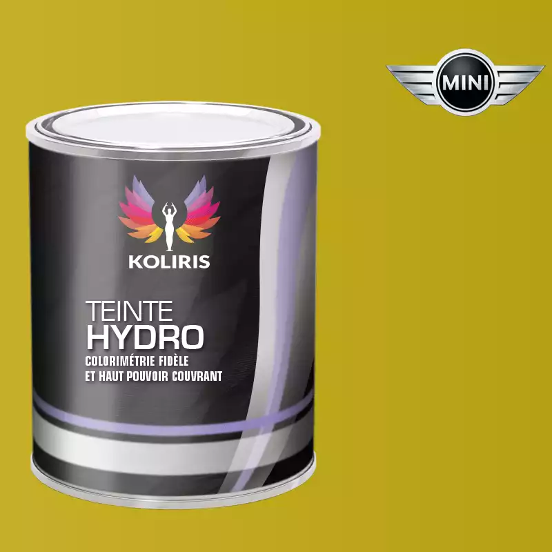 Peinture voiture hydro Mini