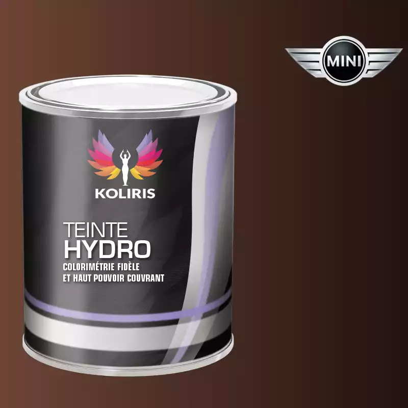 Peinture voiture hydro Mini