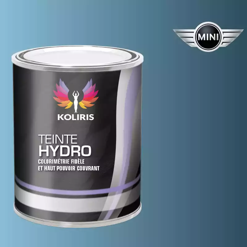 Peinture voiture hydro Mini