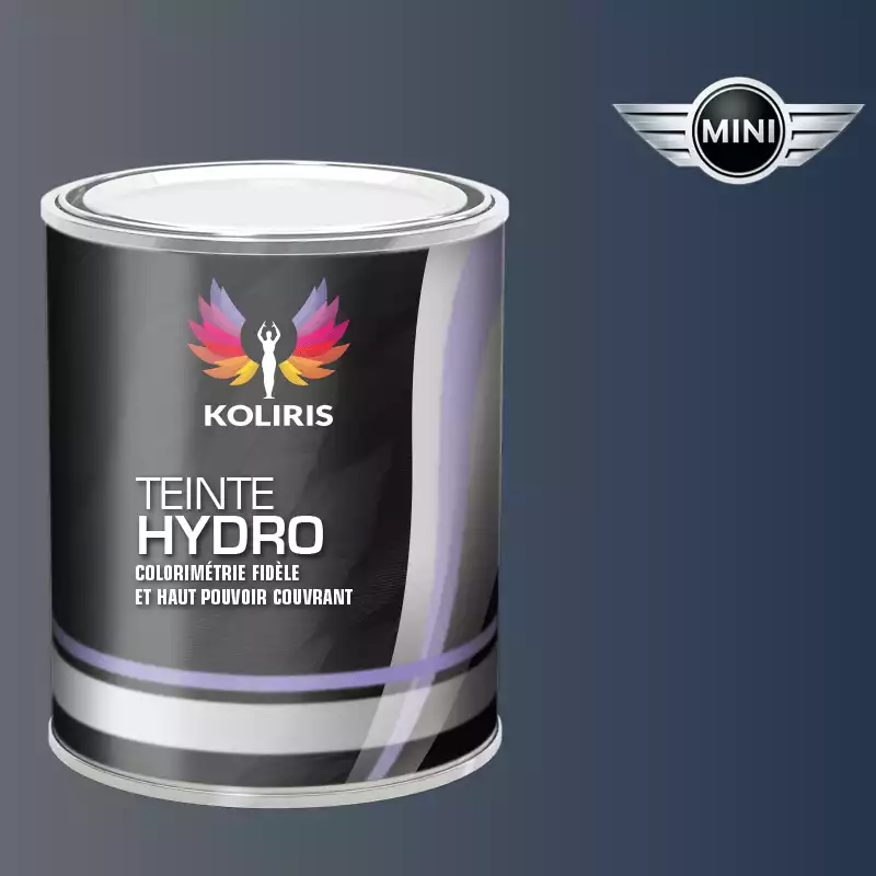 Peinture voiture hydro Mini