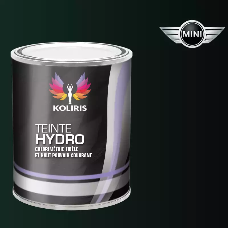 Peinture voiture hydro Mini