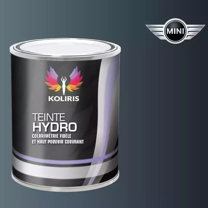 Peinture voiture hydro Mini