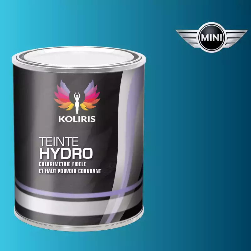 Peinture voiture hydro Mini