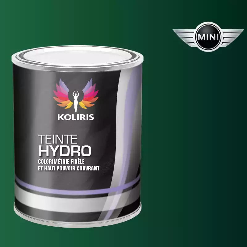 Peinture voiture hydro Mini