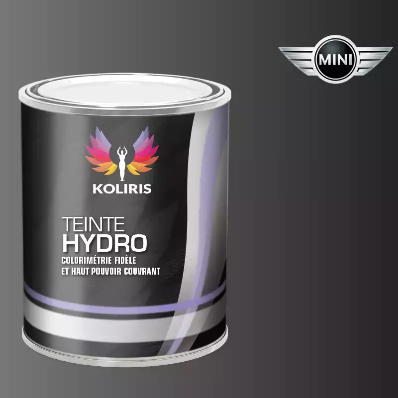 Peinture voiture hydro Mini