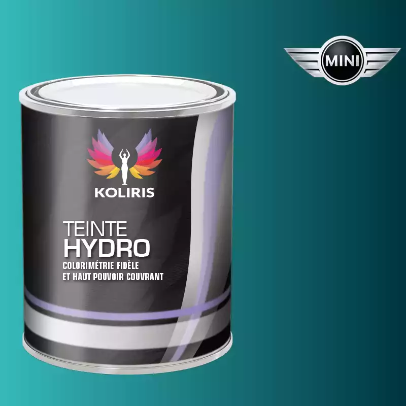 Peinture voiture hydro Mini