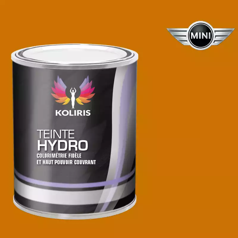 Peinture voiture hydro Mini